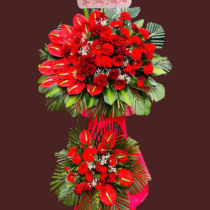 hoa hồng chúc mừng