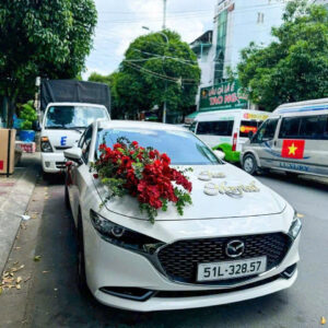 xe hoa hồng đỏ 2