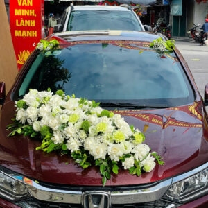 xe hoa hồng trắng