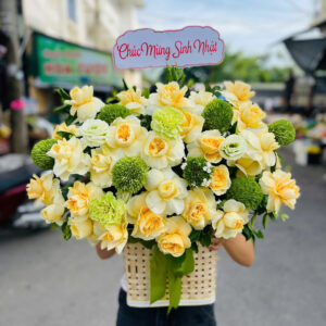 ha sinh nhật tone xanh vàng