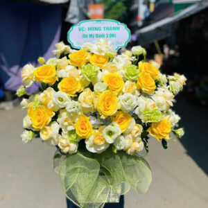hoa chúc mừng tone vàng xanh