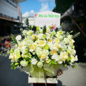 lẵng hoa chúc mừng tone xanh