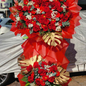 hoa khai trương (hoa hồng)