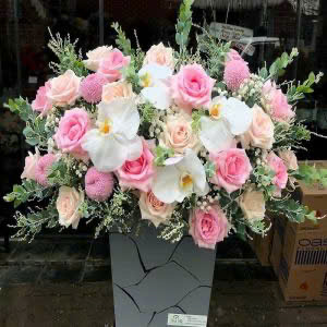 hoa sinh nhật tone hồng, trắng